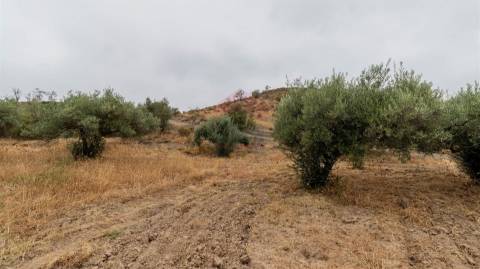 Terreno Rústico  Venda em Odeleite,Castro Marim