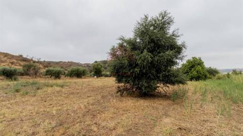 Terreno Rústico  Venda em Odeleite,Castro Marim