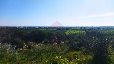 Terreno  Venda em Vila Nova de Cacela,Vila Real de Santo António