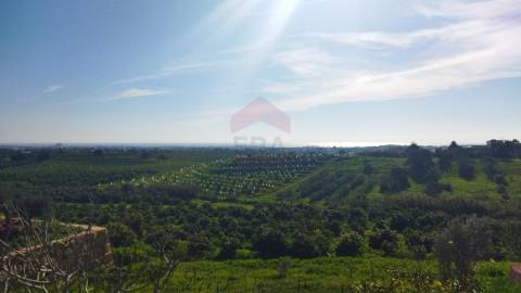 Terreno  Venda em Vila Nova de Cacela,Vila Real de Santo António