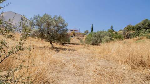Terreno Rústico  Venda em Odeleite,Castro Marim