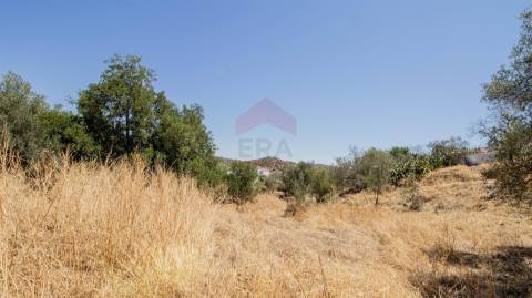 Terreno Rústico  Venda em Odeleite,Castro Marim
