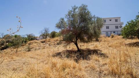 Terreno Rústico  Venda em Odeleite,Castro Marim
