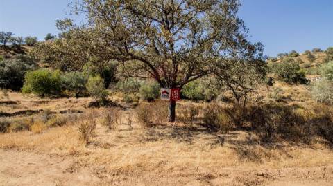 Terreno Rústico  Venda em Odeleite,Castro Marim