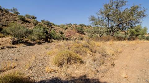 Terreno Rústico  Venda em Odeleite,Castro Marim