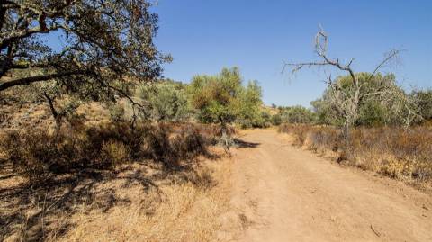 Terreno Rústico  Venda em Odeleite,Castro Marim
