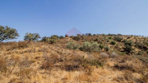 Terreno Rústico  Venda em Odeleite,Castro Marim