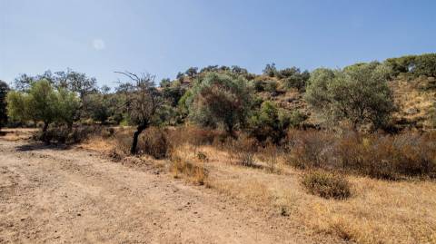 Terreno Rústico  Venda em Odeleite,Castro Marim