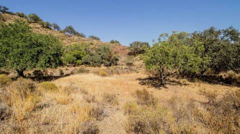 Terreno Rústico  Venda em Odeleite,Castro Marim