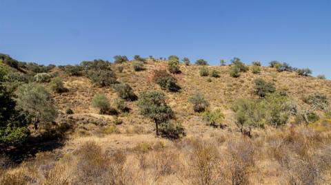 Terreno Rústico  Venda em Odeleite,Castro Marim
