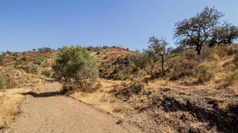 Terreno Rústico  Venda em Odeleite,Castro Marim