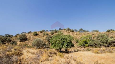 Terreno Rústico  Venda em Odeleite,Castro Marim