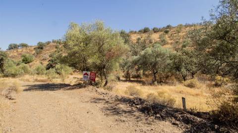 Terreno Rústico  Venda em Odeleite,Castro Marim