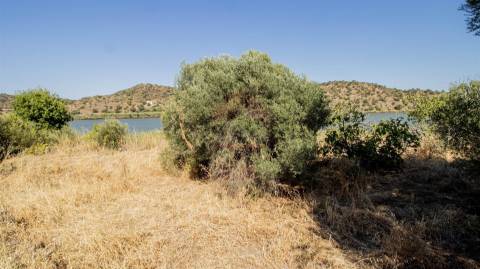 Terreno Rústico  Venda em Odeleite,Castro Marim