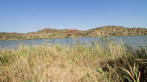 Terreno Rústico  Venda em Odeleite,Castro Marim