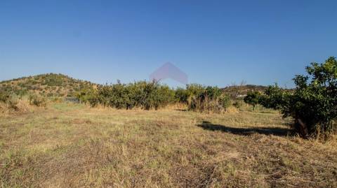 Terreno Rústico  Venda em Odeleite,Castro Marim