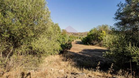 Terreno Rústico  Venda em Odeleite,Castro Marim