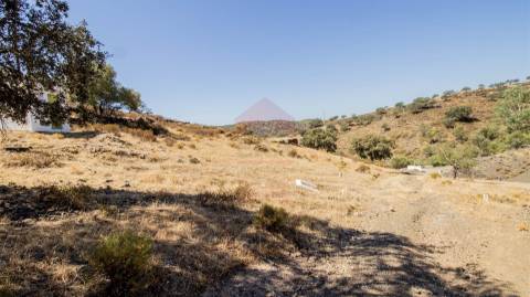 Terreno Rústico  Venda em Odeleite,Castro Marim
