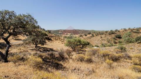 Terreno Rústico  Venda em Odeleite,Castro Marim