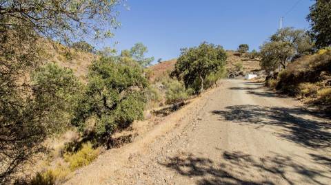 Terreno Rústico  Venda em Odeleite,Castro Marim