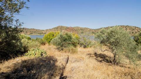 Terreno Rústico  Venda em Odeleite,Castro Marim