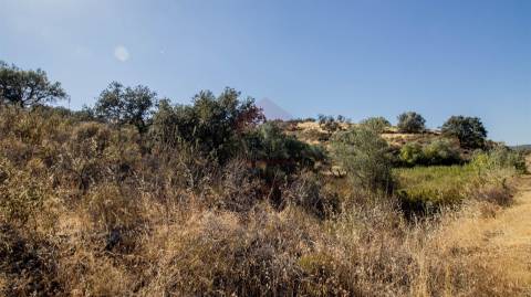 Terreno Rústico  Venda em Odeleite,Castro Marim