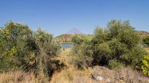 Terreno Rústico  Venda em Odeleite,Castro Marim