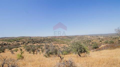 Terreno Rústico  Venda em Alcoutim e Pereiro,Alcoutim