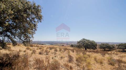 Terreno Rústico  Venda em Odeleite,Castro Marim