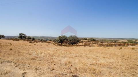 Terreno Rústico  Venda em Odeleite,Castro Marim