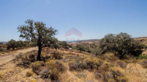 Terreno Rústico  Venda em Odeleite,Castro Marim