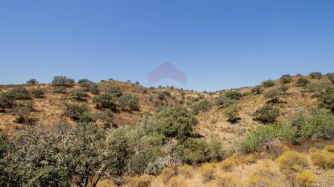 Terreno Rústico  Venda em Odeleite,Castro Marim