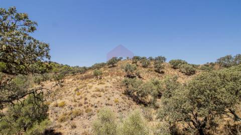 Terreno Rústico  Venda em Odeleite,Castro Marim
