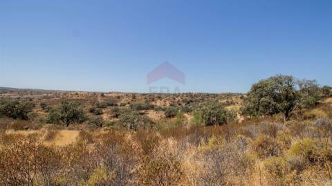 Terreno Rústico  Venda em Odeleite,Castro Marim