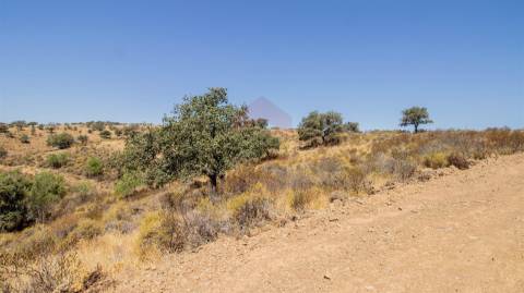 Terreno Rústico  Venda em Odeleite,Castro Marim