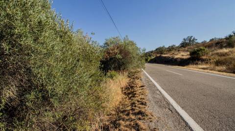 Terreno Rústico  Venda em Alcoutim e Pereiro,Alcoutim