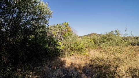 Terreno Rústico  Venda em Alcoutim e Pereiro,Alcoutim
