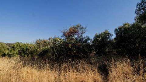 Terreno Rústico  Venda em Alcoutim e Pereiro,Alcoutim