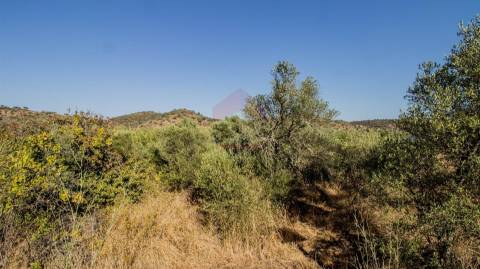 Terreno Rústico  Venda em Alcoutim e Pereiro,Alcoutim
