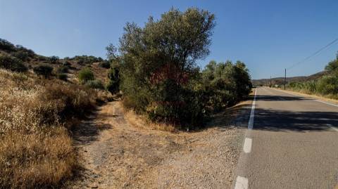 Terreno Rústico  Venda em Alcoutim e Pereiro,Alcoutim