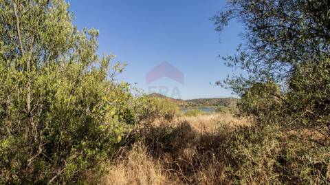 Terreno Rústico  Venda em Alcoutim e Pereiro,Alcoutim