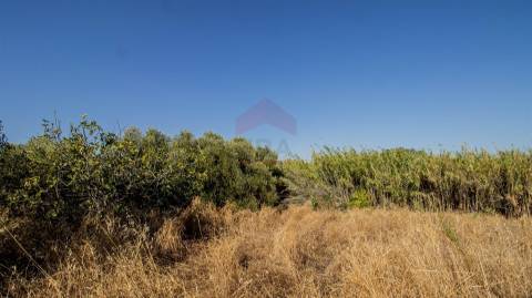 Terreno Rústico  Venda em Alcoutim e Pereiro,Alcoutim