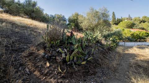 Terreno Rústico  Venda em Odeleite,Castro Marim