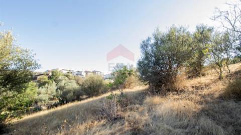 Terreno Rústico  Venda em Odeleite,Castro Marim