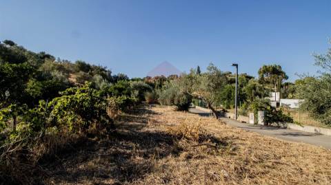 Terreno Rústico  Venda em Odeleite,Castro Marim