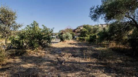 Terreno Rústico  Venda em Odeleite,Castro Marim