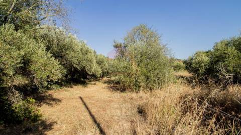 Terreno Rústico  Venda em Alcoutim e Pereiro,Alcoutim