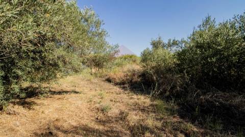 Terreno Rústico  Venda em Alcoutim e Pereiro,Alcoutim