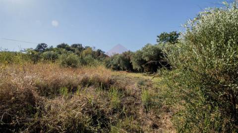 Terreno Rústico  Venda em Alcoutim e Pereiro,Alcoutim
