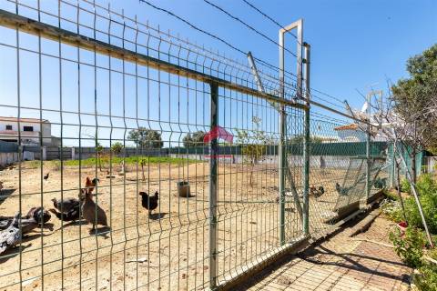 Moradia Isolada T5 Venda em Pechão,Olhão
